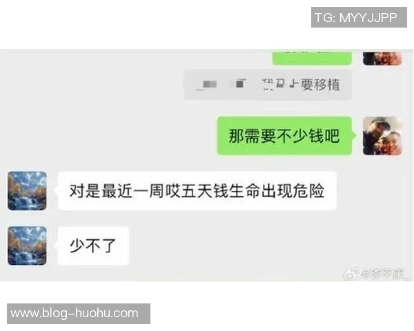 李平康呼吁债权人加入维权群体共同追讨戴琳未还款项